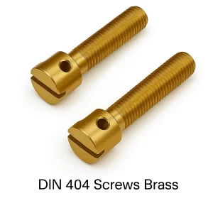 DIN 404 Screws Brass