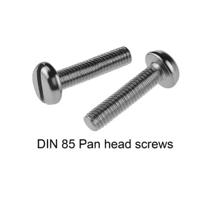 DIN 85 Pan Head Screws